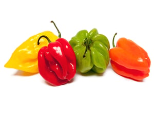 hot peppers