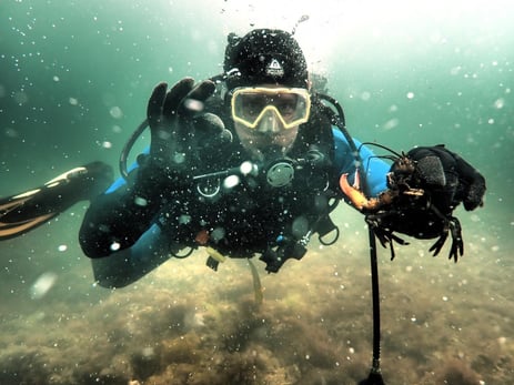 WhatsApp Image 2026-03-31 at 15.59.23