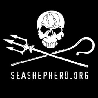 Sea Shepherd Logo-1