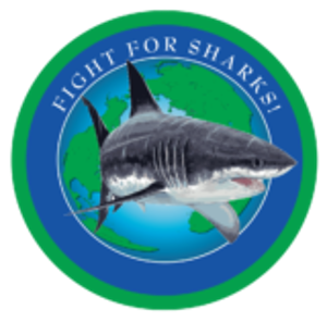 Shark Stewards Logo-1