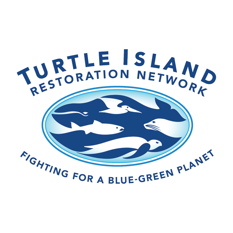 Turtle Island